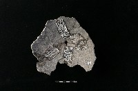 陶片藏品圖，第1張