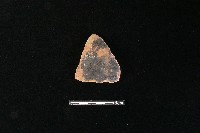 陶片藏品圖，第1張