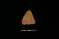 陶片藏品圖，第2張