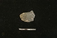 陶片藏品圖，第2張
