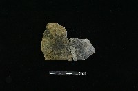 陶片藏品圖，第1張