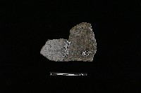 陶片藏品圖，第2張