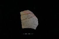 陶片藏品圖，第2張