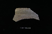 陶片藏品圖，第2張