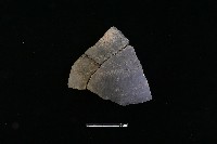 陶片藏品圖，第2張