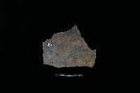 陶片藏品圖，第2張