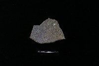 陶片藏品圖，第2張