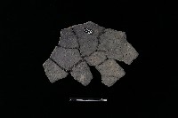 陶片藏品圖，第2張