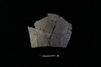 陶片藏品圖，第2張