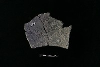 陶片藏品圖，第1張