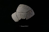 陶甑藏品圖，第2張