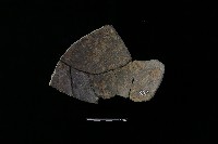 陶甑藏品圖，第1張