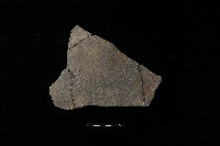 陶片藏品圖，第2張