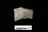 巴圖形器藏品圖，第1張