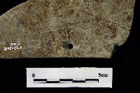 石刀藏品圖，第5張