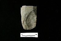 磨製斧鋤形器藏品圖，第1張