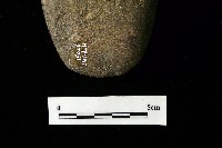 磨製斧鋤形器藏品圖，第4張