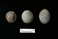 石托藏品圖，第2張