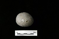 石托藏品圖，第4張