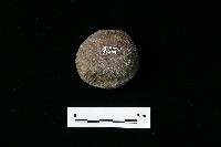 石托藏品圖，第3張