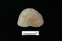 石片器藏品圖，第2張