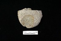 石片器藏品圖，第1張