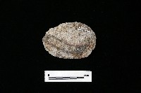 石片器藏品圖，第2張