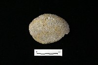 石片器藏品圖，第2張