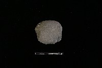 石片器藏品圖，第1張