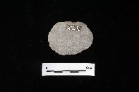 石片器藏品圖，第2張