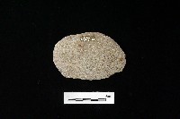 石片器藏品圖，第2張