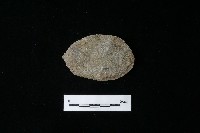 石片器藏品圖，第1張