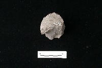 石材藏品圖，第1張