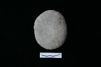 石鎚藏品圖，第1張