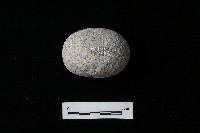 石鎚藏品圖，第3張