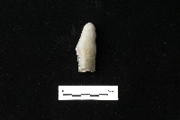 石材藏品圖，第2張