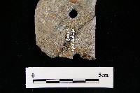 石刀藏品圖，第1張