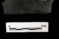 石刀藏品圖，第7張