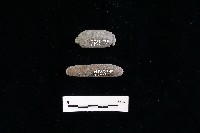 網墜藏品圖，第2張