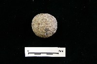 石托藏品圖，第2張