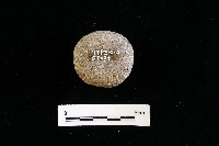 石托藏品圖，第3張
