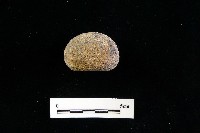 石托藏品圖，第4張
