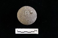 石托藏品圖，第2張