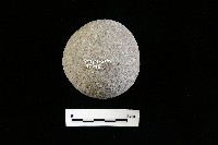 石托藏品圖，第2張