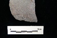 磨製斧鋤形器藏品圖，第4張