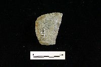 磨製斧鋤形器藏品圖，第1張