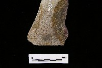 斧鋤形器藏品圖，第2張