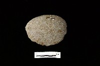 石片器藏品圖，第3張