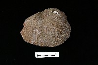 石片器藏品圖，第2張