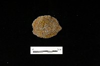 石片器藏品圖，第2張